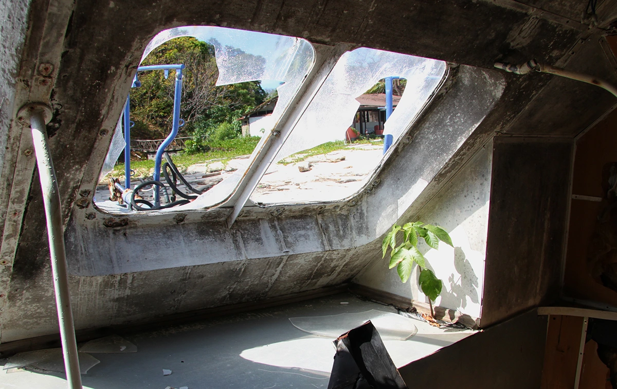 The forward window looking out at Hotel Contadora Resort. A plant grows in the corner under sunlight.