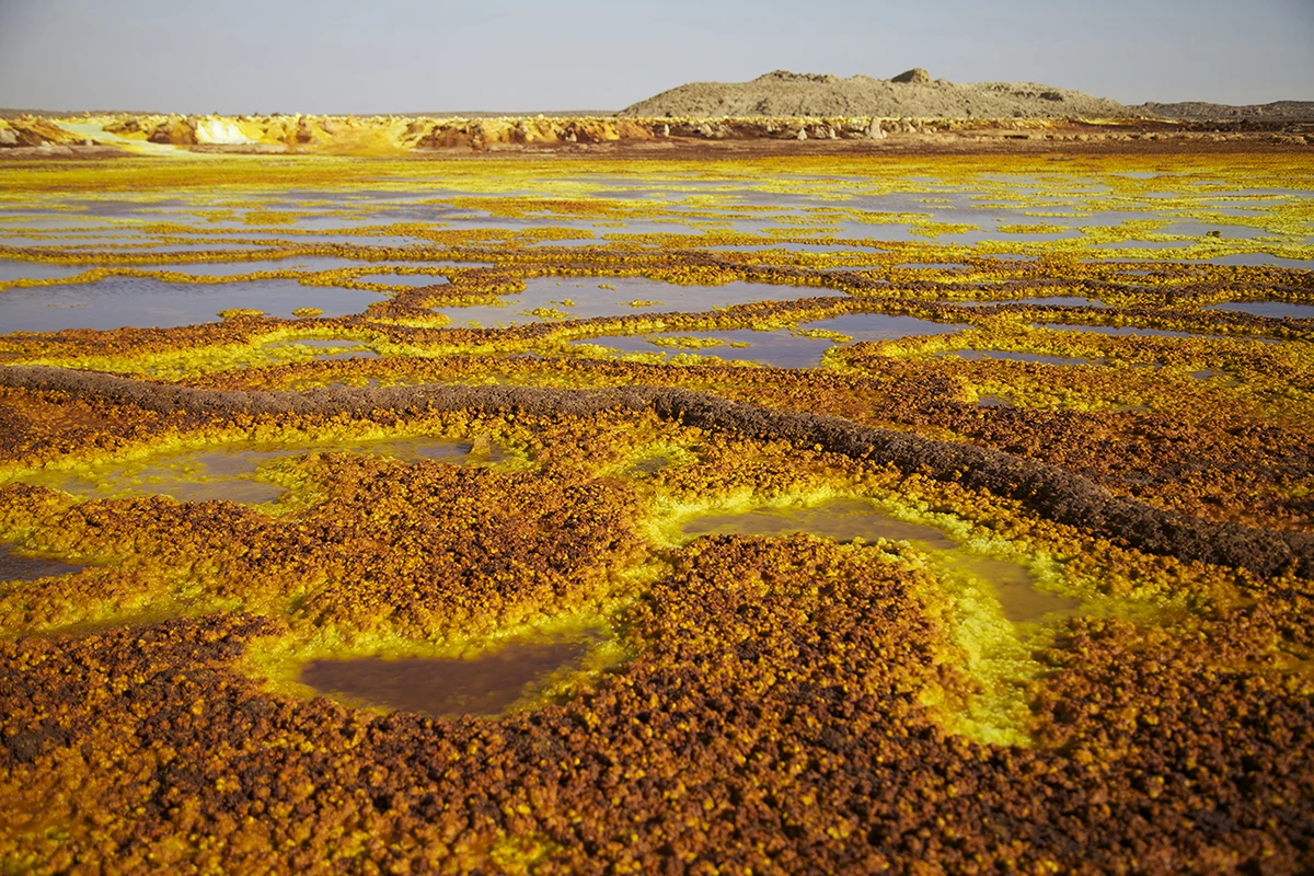 The Dallol volcanic crater. The amazing colors are due to salt, sulfur, iron oxide, and a variety of other minerals.