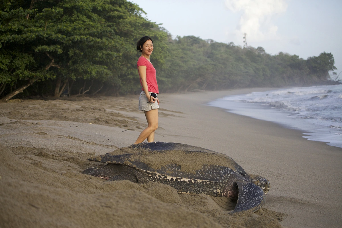 Joyce walking along side a leatherback. You couldn’t help but feel an attachment to these creatures after witnessing the rigors of an hour-long effort to build a nesting hole and laying eggs.