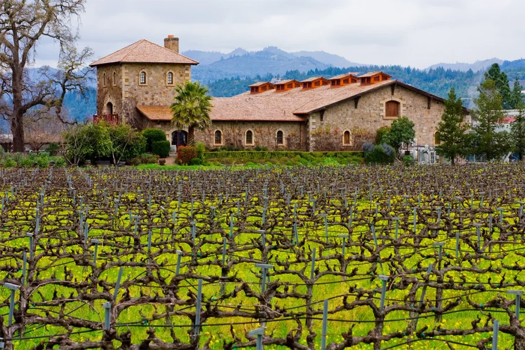 Napa and Sonoma Valley 2 Day Itinerary - Family Friendly