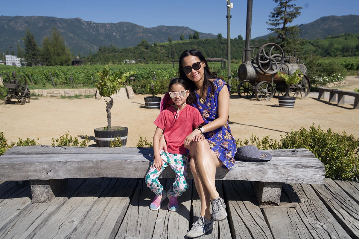 Viña Montes: Sustainability, Architecture, and Unforgettable Scenery