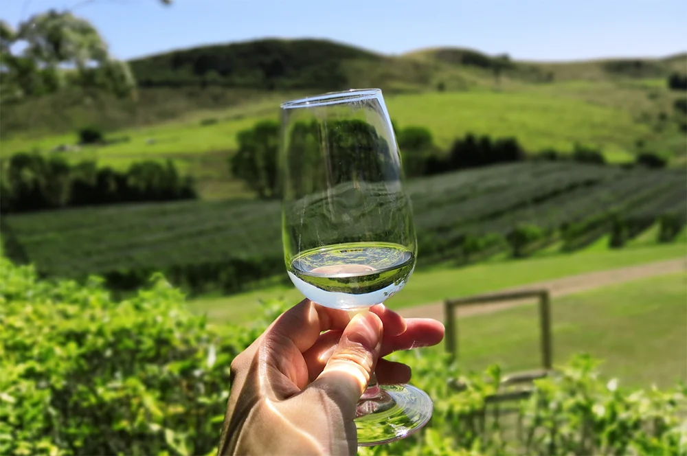 Outdoor wine tasting in Waiheke Island