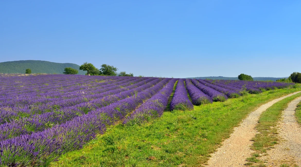 Hidden Villages in Provence: Four Places Off the Beaten Path