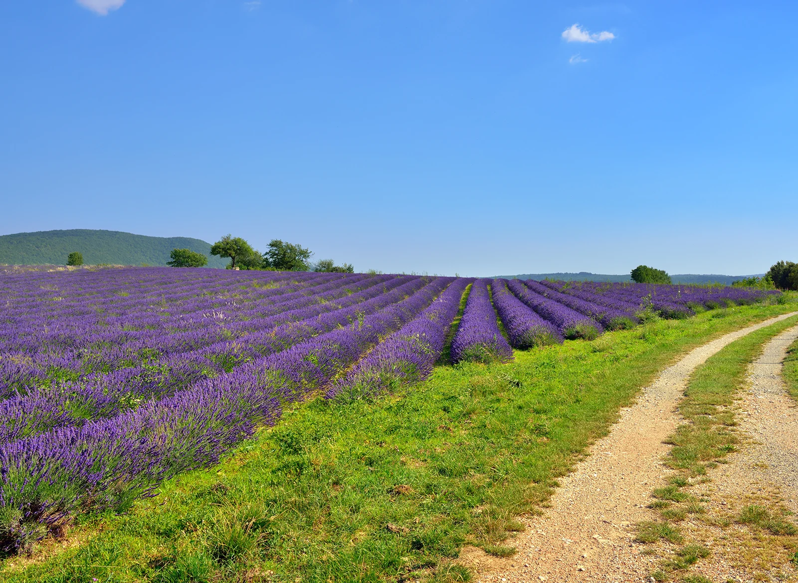 Hidden Villages in Provence: Four Places Off the Beaten Path
