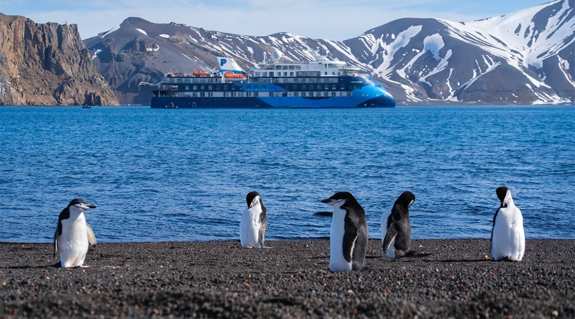 Why Ship Size Matters More in Antarctica Than Anywhere Else