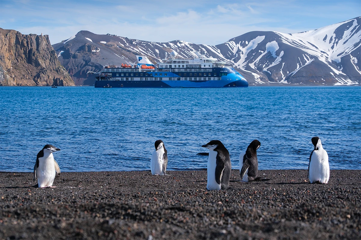 Why Ship Size Matters More in Antarctica Than Anywhere Else